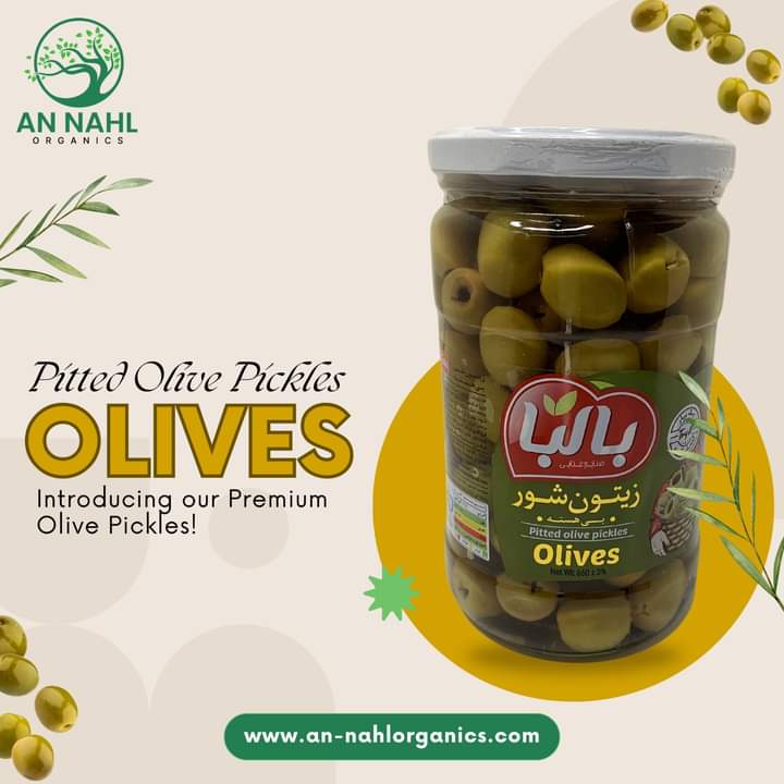 Premium Pitted Olive Pickles (Irani)